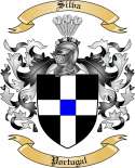 Silva Family Crest from Portugal2