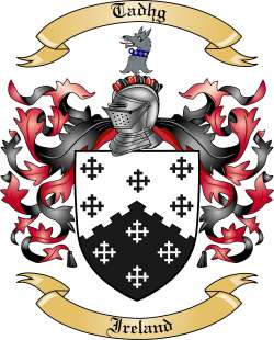 Tadhg Family Crest from Ireland