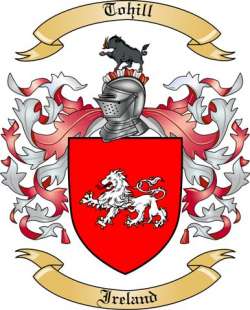 Tohill Family Crest from Ireland