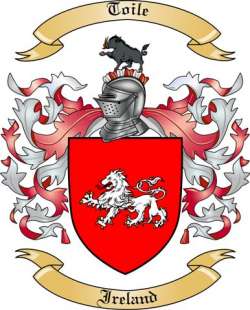 Toile Family Crest from Ireland