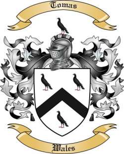 Tomas Family Crest from Wales