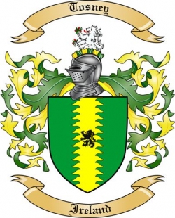 Tosney Family Crest from Ireland