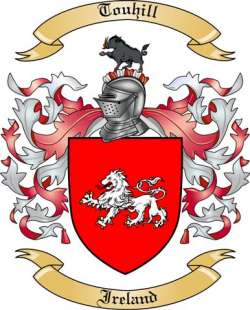 Touhill Family Crest from Ireland
