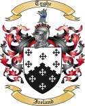 Tyghe Family Crest from Ireland