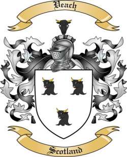 Veach Family Crest from Scotland