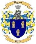 Veynes Family Crest from Wales