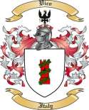 Vico Family Crest from Italy