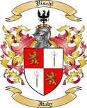 Vischii Family Crest from Italy2