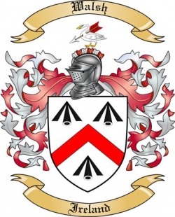 Walsh Family Crest from Ireland