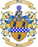 Wyte Family Crest from Wales