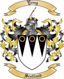 Yong Family Crest from Scotland