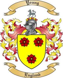 Young Family Crest from England