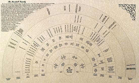 Family Genealogy Record / Cousins Organizational Chart