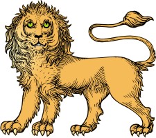 Advanced Lion 10