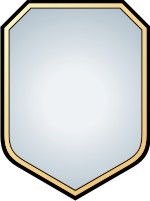 Advanced Shield 1