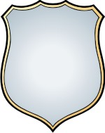 Advanced Shield 15