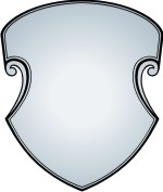 Advanced Shield 19