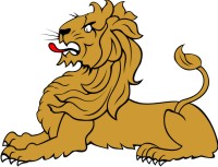 Simplistic Lion 9